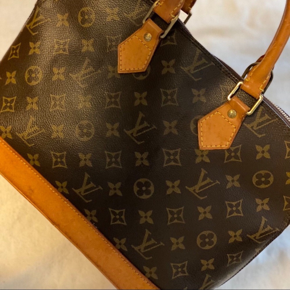 Louis Vuitton brown bag